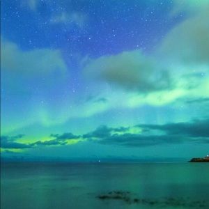 Meet your Posher, Bryan